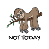 sloth