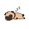 Cute Sleeping Dog Gift Idea