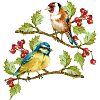 Die Vögel