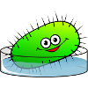 Happy Bacterium