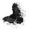 Raven