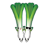 Leeks on leek leeks