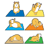 Grappige hamster yoga t-shirt cavia's