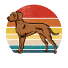 Vizsla Rétro