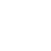 Schnauzer
