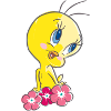 Looney Tunes Tweety Flowers