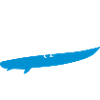 Surfing goose silhouette