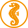 Seahorse Moin