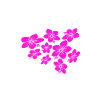 fleurs