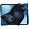 Raven