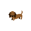 Happy "dachshund"