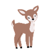 Sweet fawn Bambi