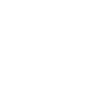 dream team fist
