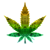 Leaf Mandala