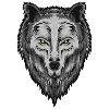 Wolf face