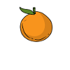 Orange citrus orange
