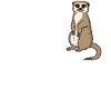 Lustiges Erdmännchen Geschenk Witziger Spruch