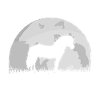Cheval fjord poney fjord pleine lune lune silhouette