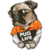 Pug Pug Life Design