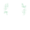 organ