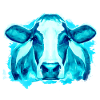 Vache Vaches