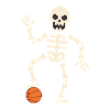 Skeleton basketball