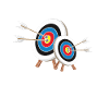 Archery Archer Bow & Arrow