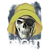 moin Pirate