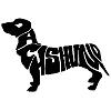 dachshund