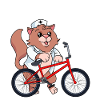 Verpleegkundige Kat Emergency BMX Gebruik Bike Doctor