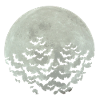 Halloween bats