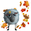 Sweet sheep in autumn