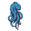 octopus