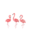 Sød flamingo skjorte