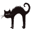 Black Halloween Cat