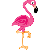flamingo