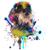 Wire-haired dachshund dachshund dachshund illustration