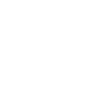 Shetty Pferd Spruch EKG