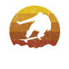 Skateboard skateboarder skateboard skating