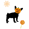 PUMPKIN HEAD BULLDOG HALLOWEEN