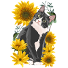 Doux chat tournesol jardin chatons