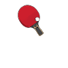 Table tennis ping pong
