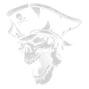 Pirate skull