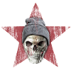 crâne et étoile rouge