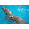 Dolphins