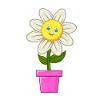 daisy