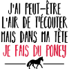 je fais du poney