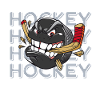 Wild Hockey Puck