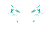 Vikings