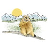 Marmot, Mountains, Sun